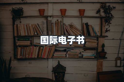 国际电子书